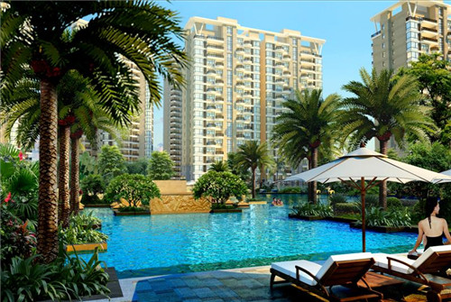 大渔号酸菜鱼米线