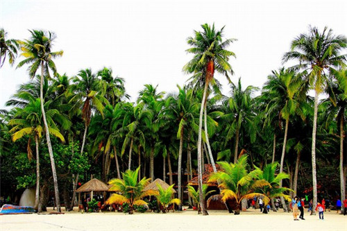 天香豆蔻麻辣烫