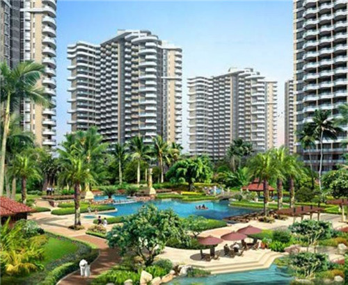 澳美徕澳门花胶鸡