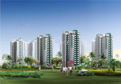 大于等于酸菜鱼