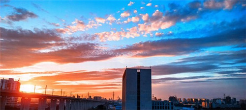 弁当物语日式便当