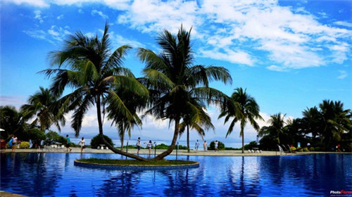 馋小喵三汁小焖锅