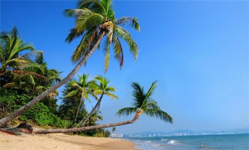清洁面膜品牌排名