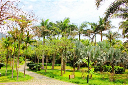 超市加盟店怎么回款快