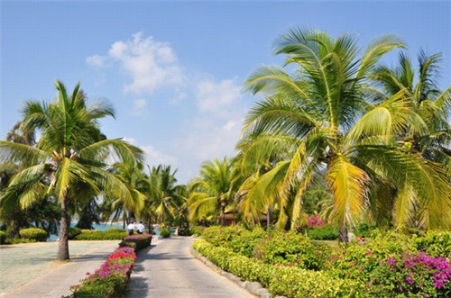 谷碗记加盟费多少