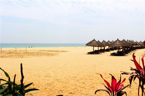 CF手游怎么玩风之子（cf手游风之子教学）