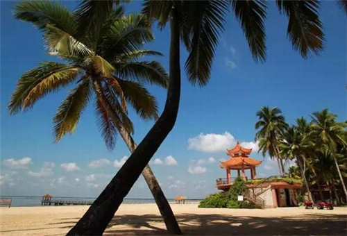 怎么判断装修的污染（怎么判断装修的污染程度）