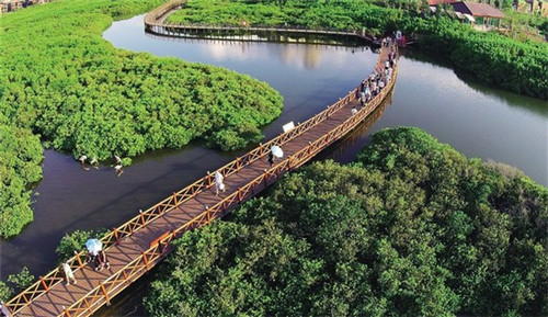 北京早点炒咸菜做法（炒咸菜家常做法）