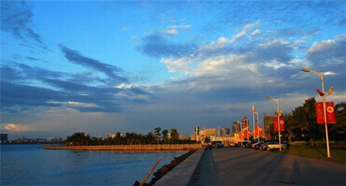 动物气象员的本领有哪些（动物气象员的本领至少写两个）