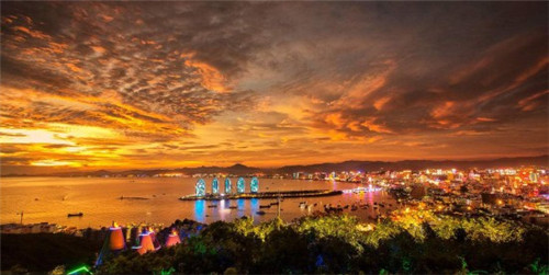 仙草缘奶茶加盟费多少（仙草奶茶是什么东西）